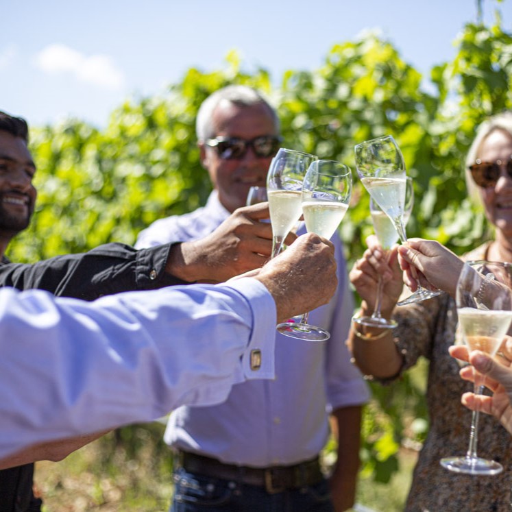 Cotswold Vineyard Tour Tasting Gift Voucher for One